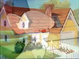 Il Mignolo Col Prof - 1x01 - Gara Di Ortografia - Patty Ann