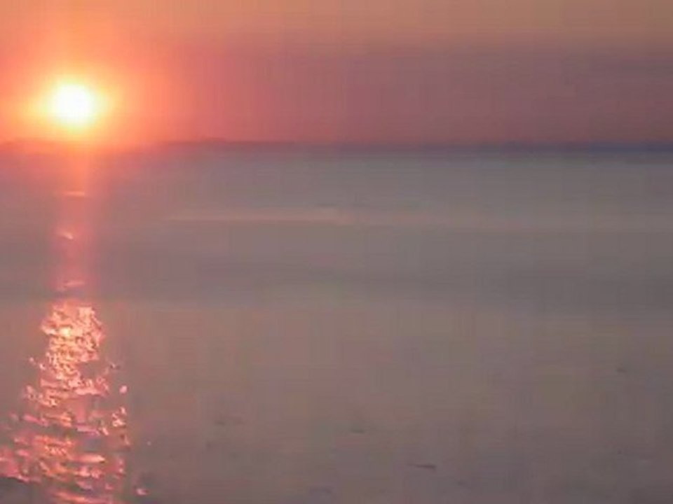 Baleine au lever du soleil