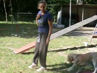 Galaxie entrainement 1509