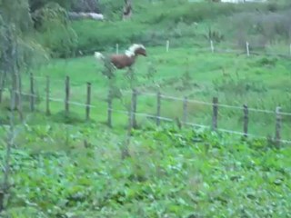 Troisième moment de folie de Boutny