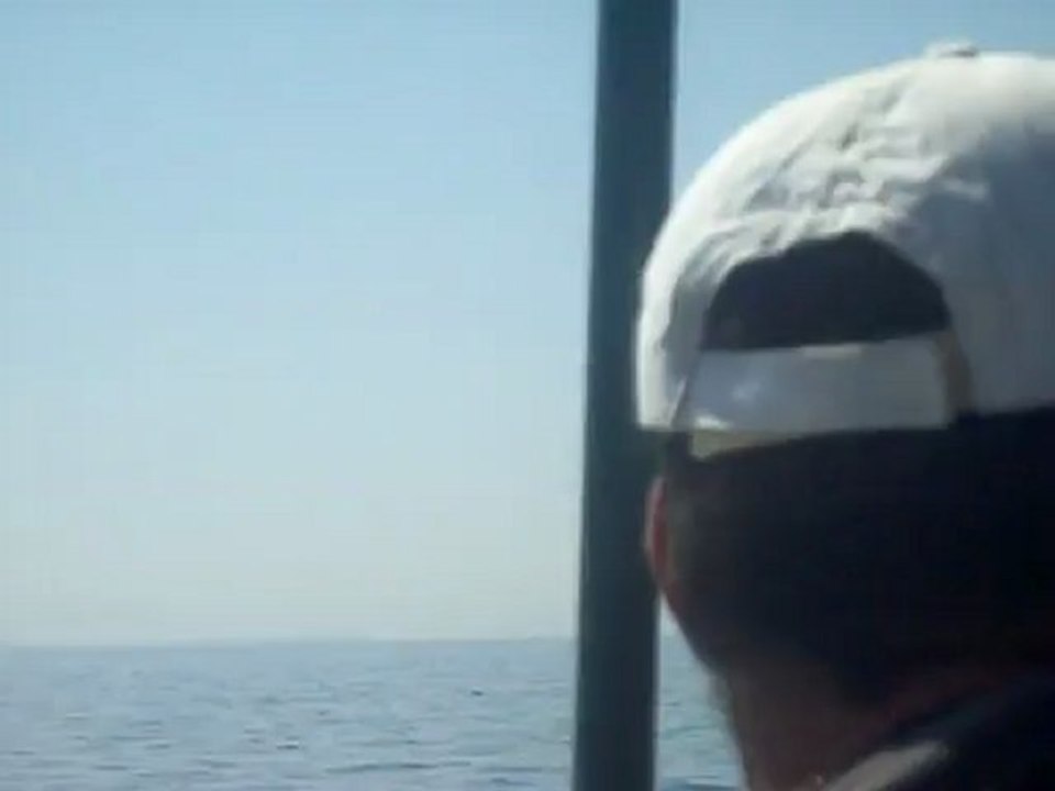 SL370175