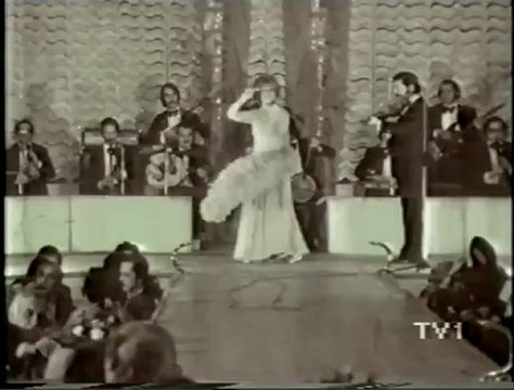 Neşe Karaböcek - Gönül