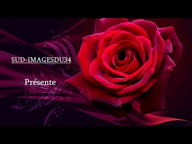 Bon Anniversaire Paule Marie Video Dailymotion