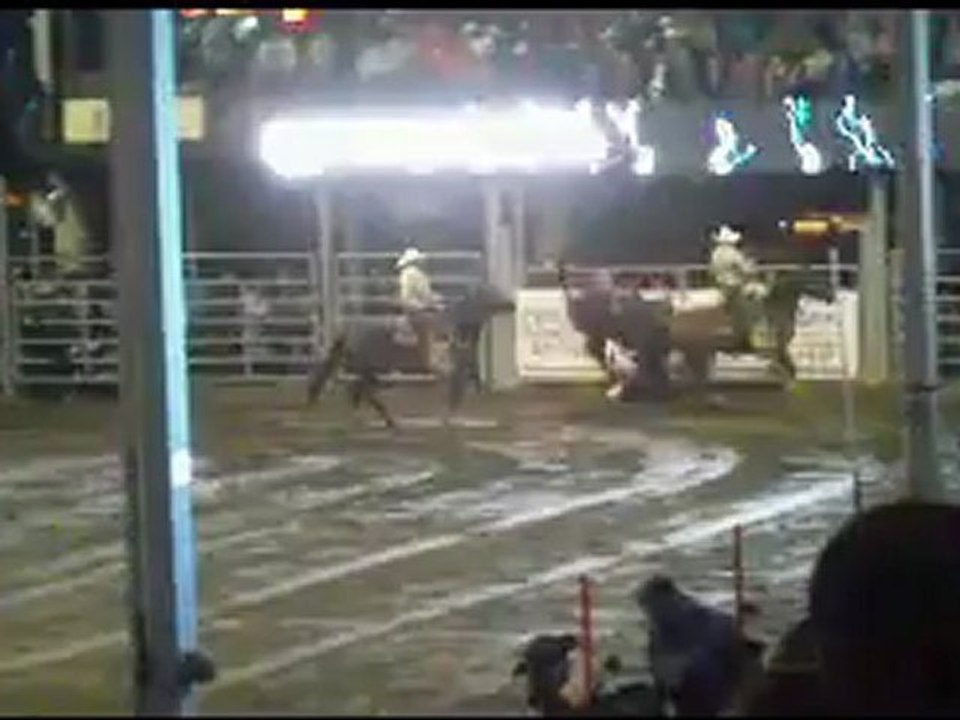 rodeo 1 : monte du cheval sauvage sans selle