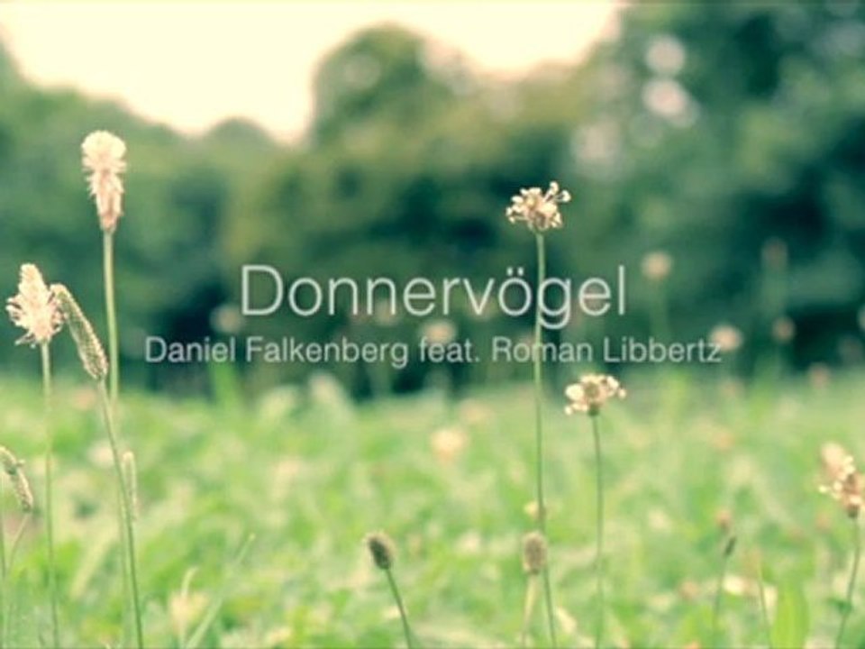 Donnervögel - beta (Exklusive Videopremiere am 14.9.2012 um 13 Uhr auf whudat.de)
