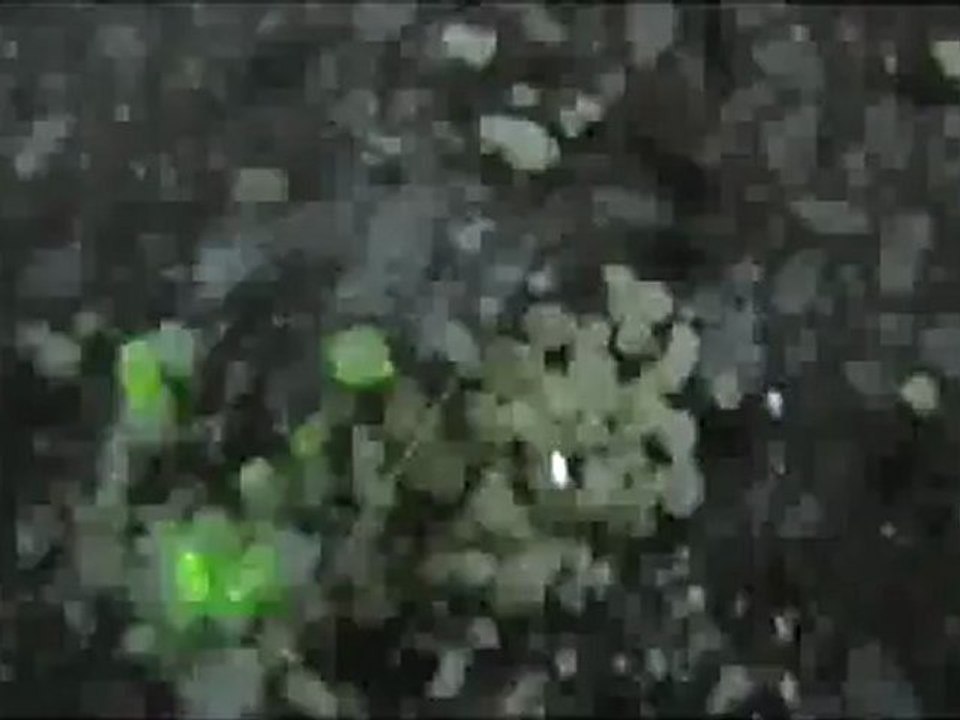 Tribolumineszenz von Terbiumhexakis(antipyrin)triiodid - im Hellen