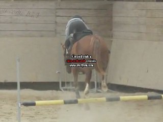 I wanna scream till the words dry out.