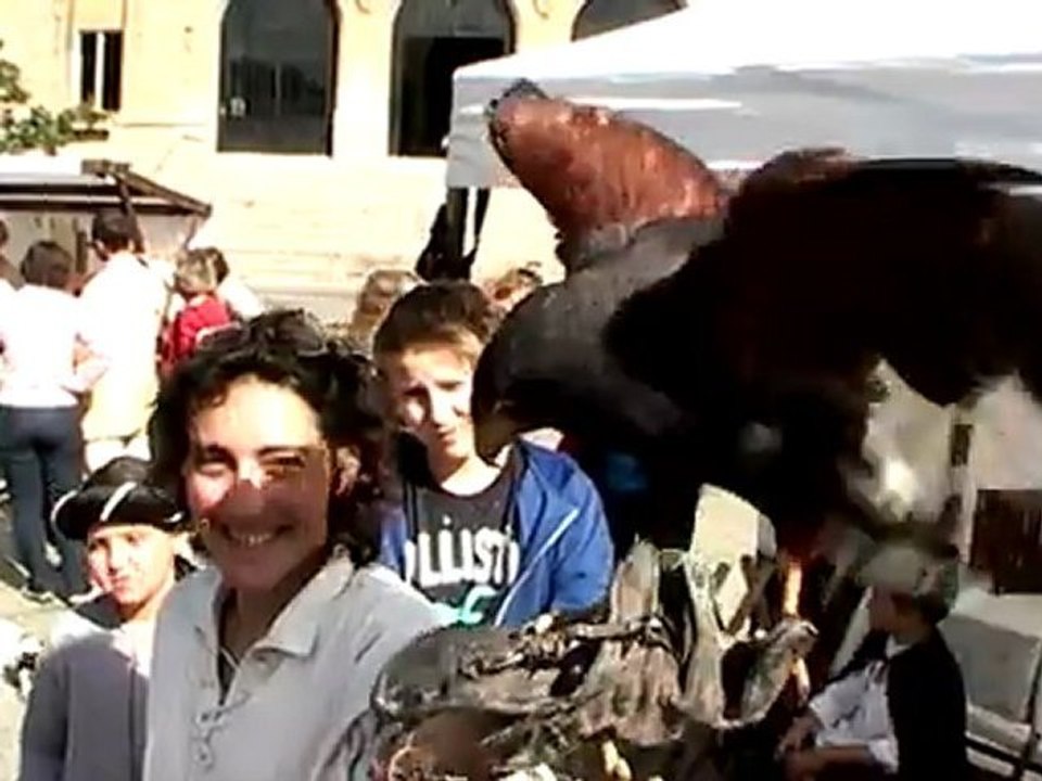 Vincennes Journées du patrimoine et médiévale 15 & 16 septembre 2012 Village artisanal Vol de rapace