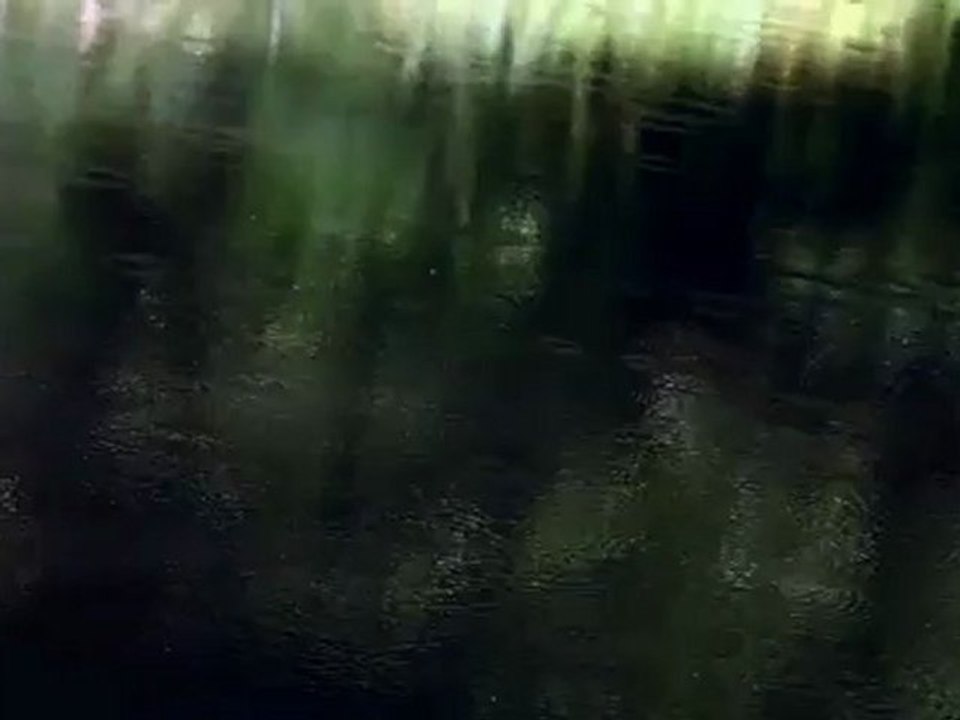 Act. Peinture à l'eau
