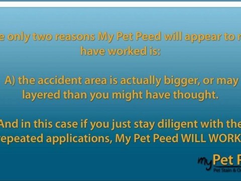 ﻿﻿ How To Remove Pet Stains From Carpet Using A Carpet Cleaner - Remove Pet Odor From Carpet