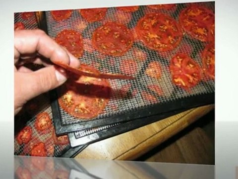 Excalibur 2900 9-Tray Food Dehydrator