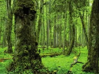 Custom Shutters Fairview TX | 817-631-0352