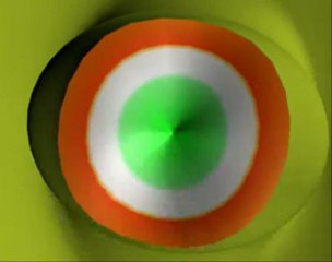 Zebraman Starring Shah Rukh khan, John Abraham and Ullhas PR