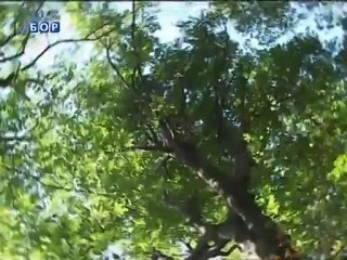 Vikend na istoku, 15. septembar 2012.