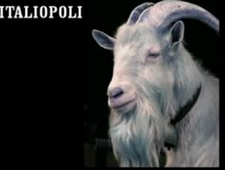 I PAPI E IL SESSO CAP. 3