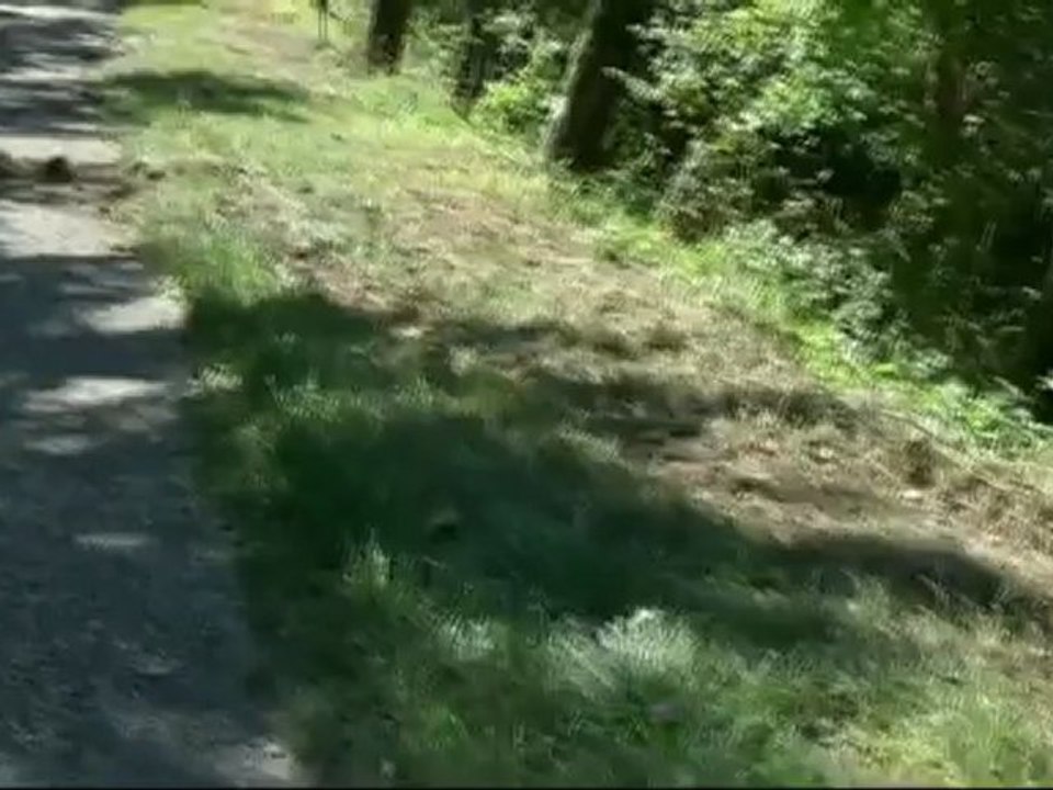 Rallye Picodon 2012 Tête à queue n° 144 Jalat Frédéric et Cassandra