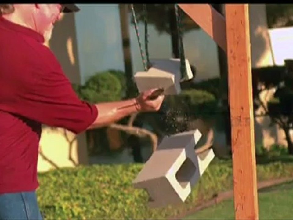 Shanghai Shadow _ Cold Steel Fixed Blade Knives