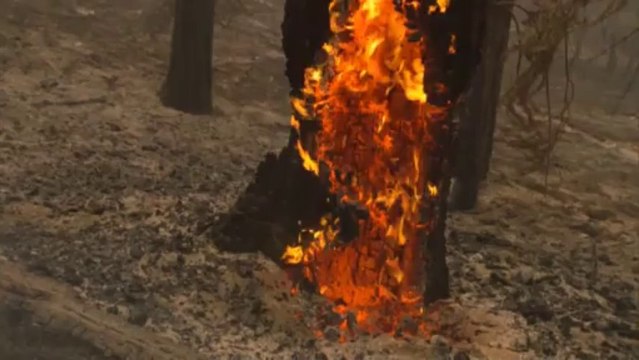 Etats-Unis: le feu ravage le Parc Yosemite en Californie