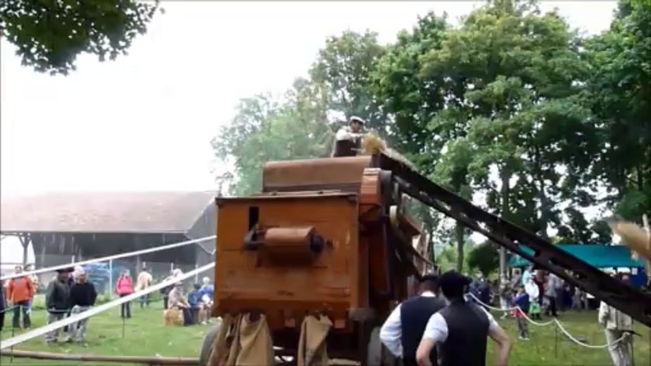 battage à l'ancienne   avec mr. le maire de provins aout 2013