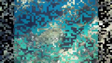 2012 08 Porquerolles Franck Isabelle Papy