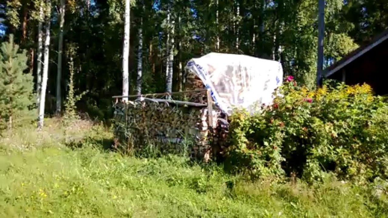 Halkopino