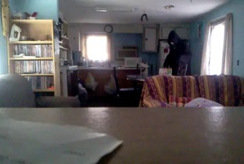 Ghost was stealing a drink