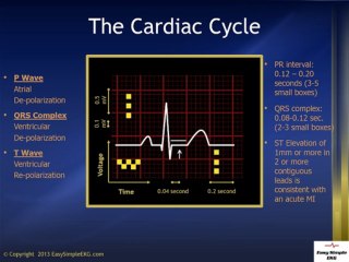 The Cardiac Cycle