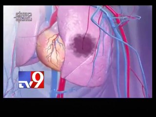 How did Harika die during childbirth? Watch in Pranam Khareedu