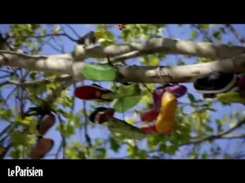 Paris : quand les chaussures poussent dans les arbres