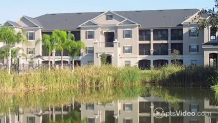 Arlington at Northwood Apartments in Wesley Chapel, FL - ForRent.com