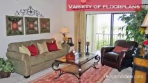 Village Place Apartments in West Palm Beach, FL - ForRent.com