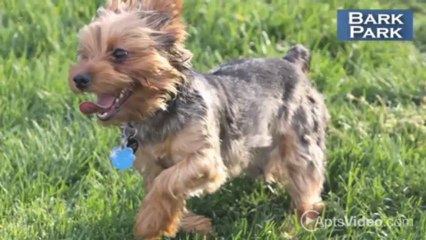 Stone Ridge Apartments in Indianapolis, IN - ForRent.com