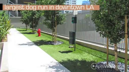 Apex Apartments in Los Angeles, CA - ForRent.com