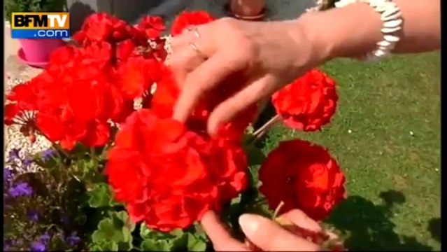 Réforme des retraites: l'inquiétude des retraités - 26/08