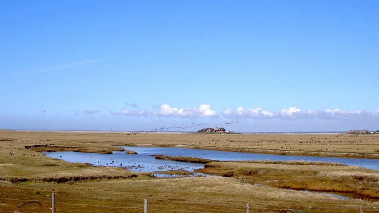 Hallig Impressionen - Bilder einer Landschaft