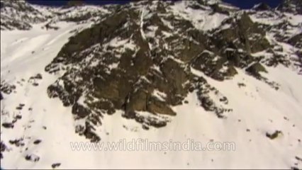 Heli-skiing-Beta SP-7-8
