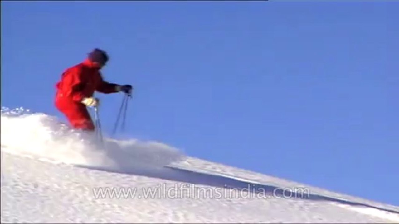 Heli-skiing-Beta SP-7-4