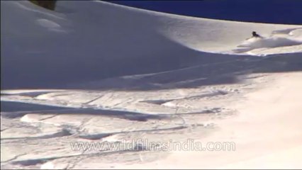 Heli-skiing-Beta SP-7-7