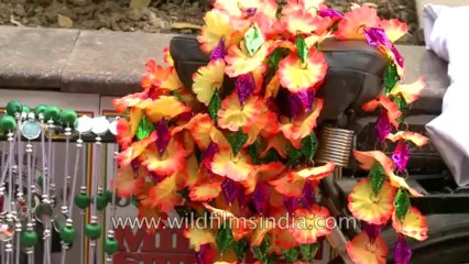 New Delhi-Evergreen Sweet House-Green Park-Diwali-Market Place-5