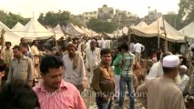 Old Delhi-Urdu Park-Bakri-Eid-Goat Market-Goats-31