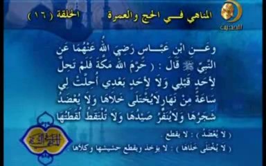 16 - المناهي في الحج و العمرة _ المناهي في السنة