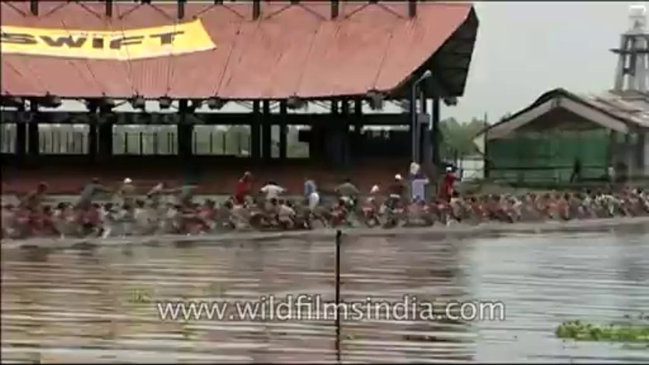 Snake boat race-kerala
