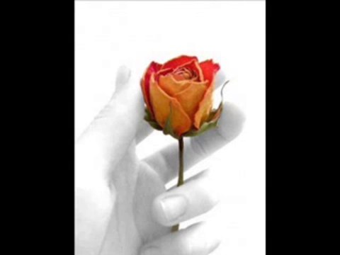 Hoor Se Shadi Bayan by Moulana Tariq Jameel