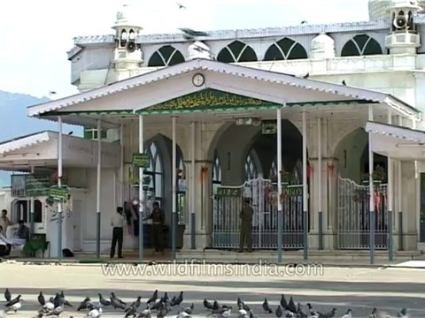 Amarnath yatra-Srinagar-Mosque-Pigeons-tape-18-mdv-350-9