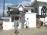 Amarnath yatra-Srinagar-Pigeons-tape-18-mdv-350-13