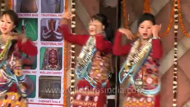 Arunachal Pradesh Day-Pragati Maidan-Hdv-01-14