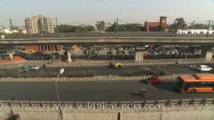 Delhi-flyover-lajpat nagar-8