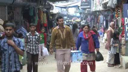 Dimapur-Hong kong market-11