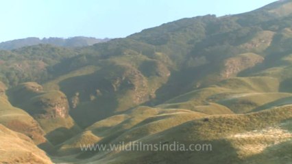 Dzukou valley-10