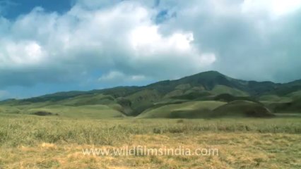 Dzukou valley-19